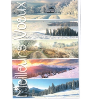 Cartes noël nouvel an