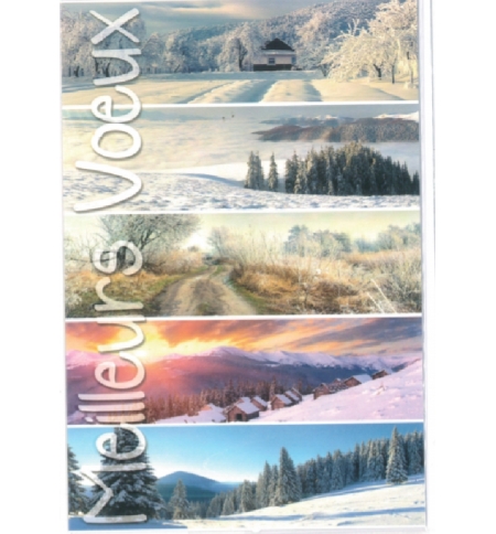 Cartes noël nouvel an