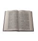 Bible version J.N. Darby