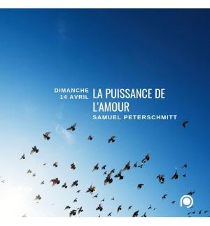 La puissance de l'amour - Samuel Peterschmitt