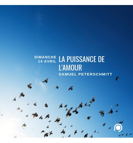 La puissance de l'amour - Samuel Peterschmitt