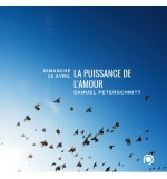 La puissance de l'amour - Samuel Peterschmitt