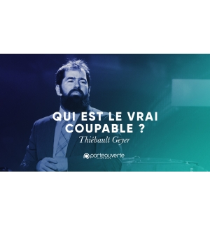 Qui est le vrai coupable - Thiebault Geyer