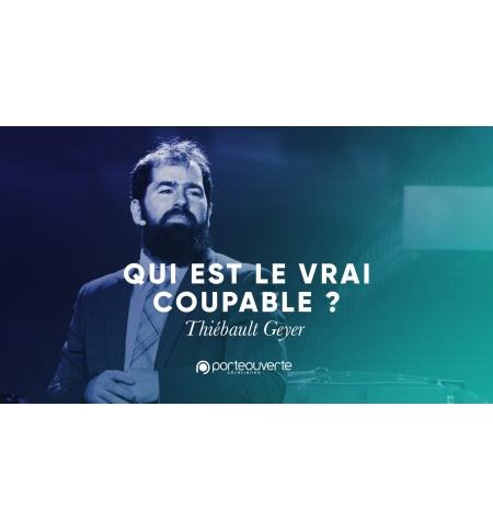Qui est le vrai coupable - Thiebault Geyer