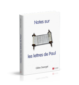 Notes sur les lettres de Paul - Gilles Georgel