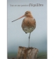 carte divers