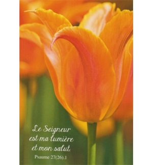 carte divers avec verset