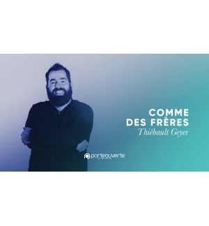 Comme des frères - Thiebault Geyer MP3