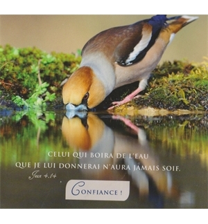 Carte "Divers" avec verset