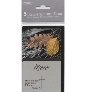 Carte "Condoléances Remerciements" avec verset (paquet de 5)