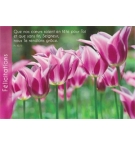 Carte "Félicitations" avec verset