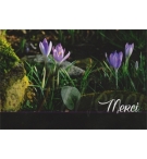 Carte "Merci"