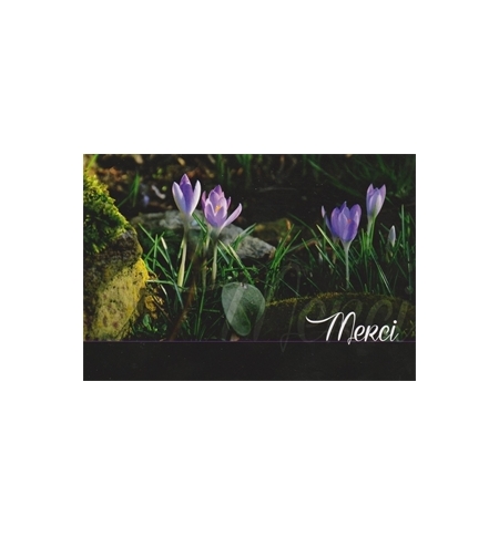 Carte "Merci"