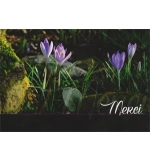 Carte "Merci"