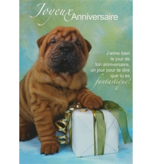 Carte "Anniversaire"