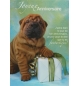 Carte "Anniversaire"