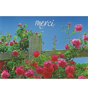 Carte "Merci"