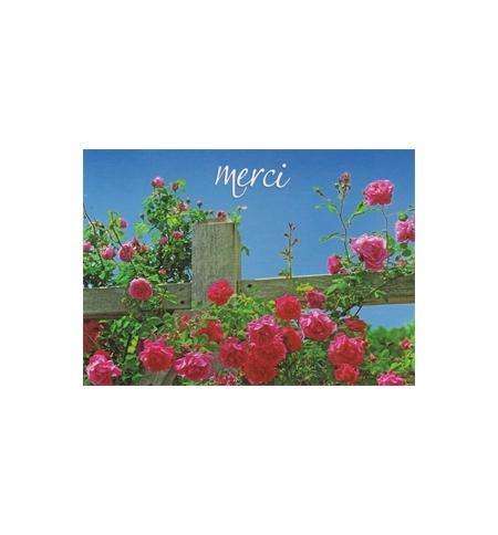 Carte "Merci"