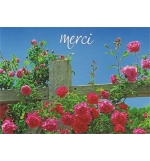 Carte "Merci"
