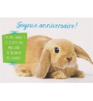Carte "Anniversaire"