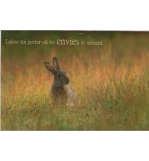Carte "Divers"
