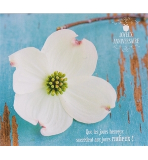 Carte "Anniversaire"