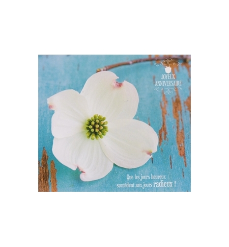 Carte "Anniversaire"