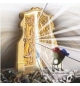 BD sans parole - Alain Auderset