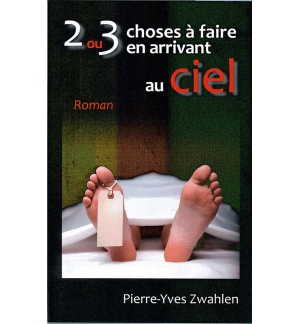 2 ou 3 choses a faire en arrivant au ciel - ZWAHLEN Pierre Yves
