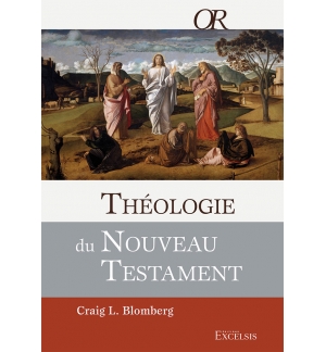 Théologie du Nouveau Testament - Craig Blomberg