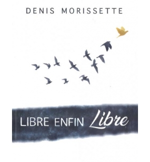 Libre enfin libre - Denis Morissette