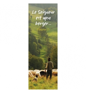 Signet Berger avec ses moutons