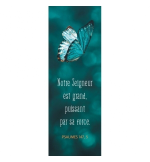 Signet Papillon sur fond bleu