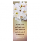 Signet Fleurs blanches sur fond flou