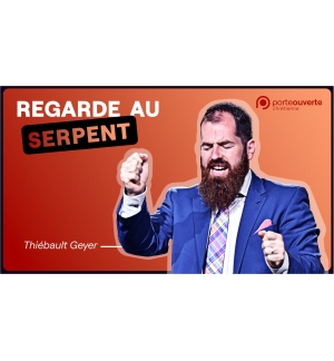 Regarde au serpent - Thiébault Geyer MP3