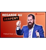 Regarde au serpent - Thiébault Geyer MP3
