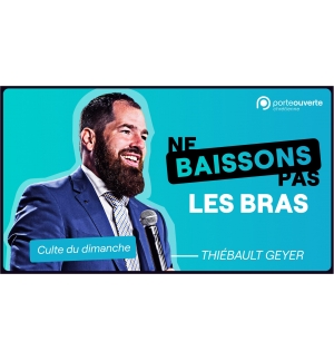 Ne baissons pas les bras - Thiébault Geyer MP3