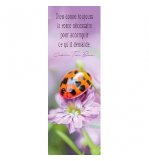 SIGNET Coccinelle sur une fleur rose