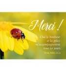 Carte "Merci"