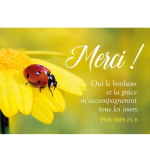 Carte "Merci"