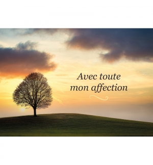 Carte "condoléances"