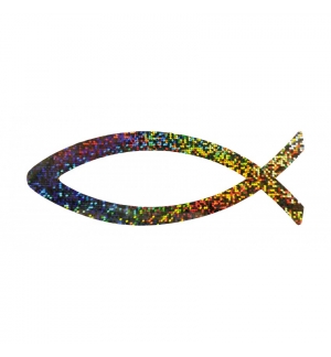 Autocollant - Ichthus magnétique arc en ciel