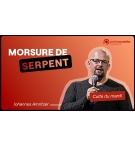 Morsure de serpent - Johannes Amritzer MP3