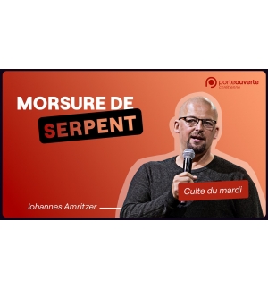 Morsure de serpent - Johannes Amritzer MP3