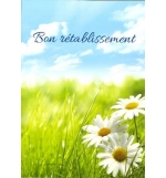 Carte simple - 10x15cm - Bon rétablissement