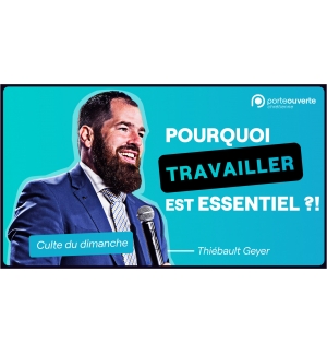 Pourquoi travailler est essentiel ?! - Thiebault Geyer MP3