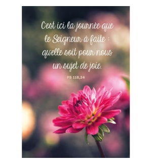 CARTE avec verset Fleur rose sur fond flou