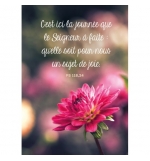CARTE avec verset Fleur rose sur fond flou