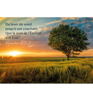CARTE avec verset Coucher de soleil et arbre