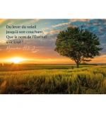 CARTE avec verset Coucher de soleil et arbre